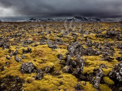 ICELAND Snaefellsjokull